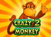 Crazy Monkey 2