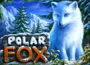 Polar Fox